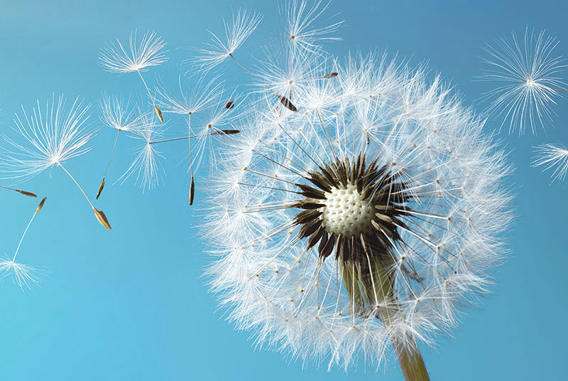 Brigitte Favre Therapie | Atemtherapie | Atemtraining