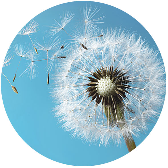 Brigitte Favre Therapie | Atemtherapie | Atemtraining Brigitte Favre Therapie | Atemtherapie | Atemtraining